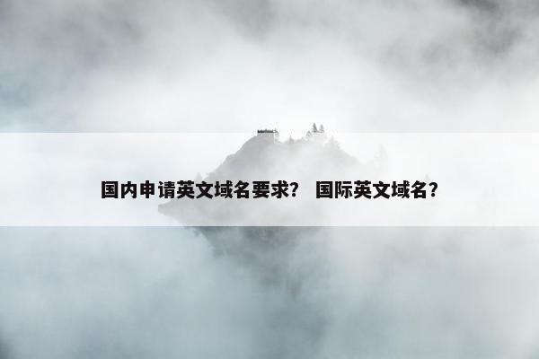 国内申请英文域名要求？ 国际英文域名？