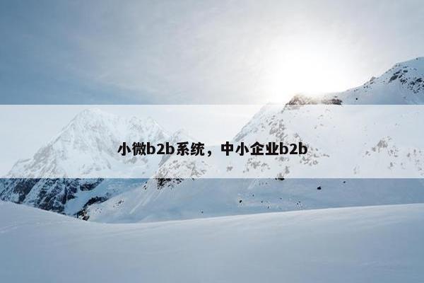 小微b2b系统，中小企业b2b