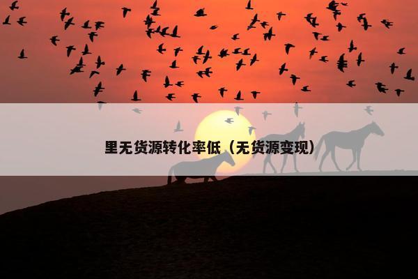 里无货源转化率低（无货源变现）