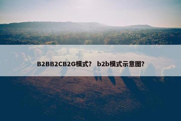 B2BB2CB2G模式？ b2b模式示意图？