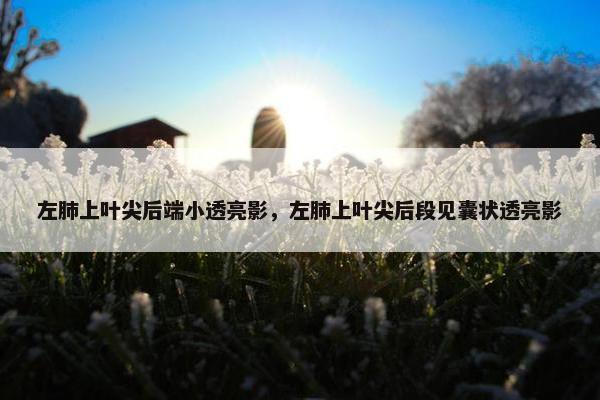 左肺上叶尖后端小透亮影，左肺上叶尖后段见囊状透亮影