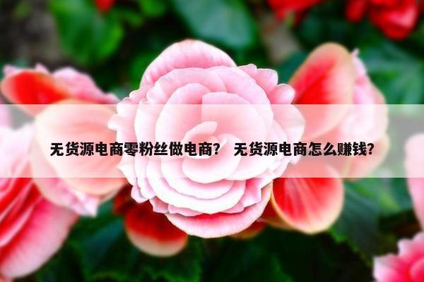 无货源电商零粉丝做电商？ 无货源电商怎么赚钱？