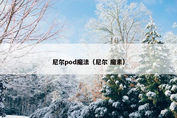 尼尔pod魔法（尼尔 魔素）