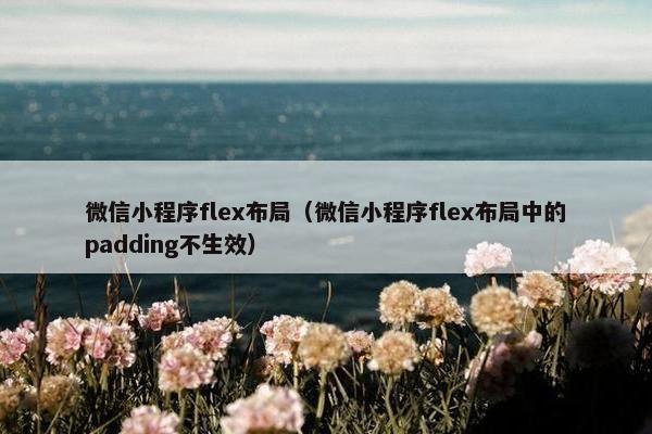 微信小程序flex布局（微信小程序flex布局中的padding不生效）
