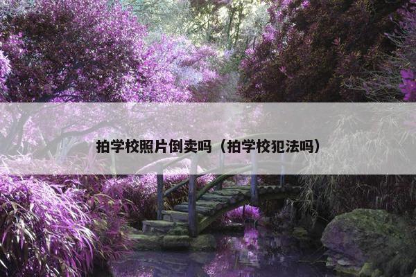 拍学校照片倒卖吗（拍学校犯法吗）