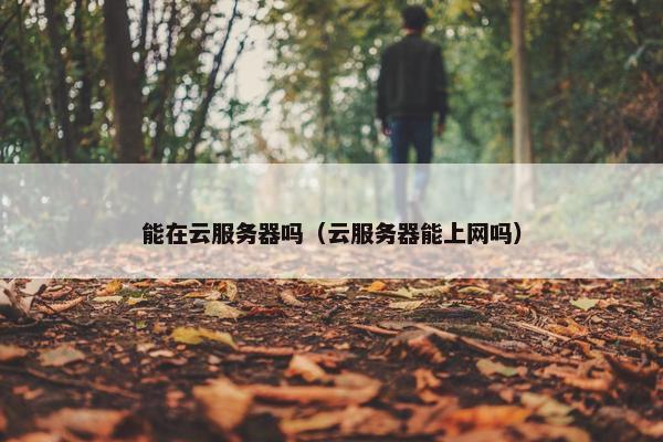 能在云服务器吗（云服务器能上网吗）