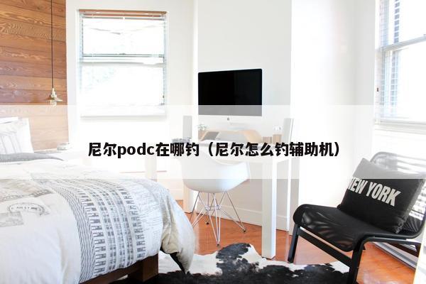 尼尔podc在哪钓（尼尔怎么钓辅助机）
