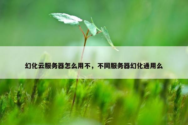 幻化云服务器怎么用不，不同服务器幻化通用么