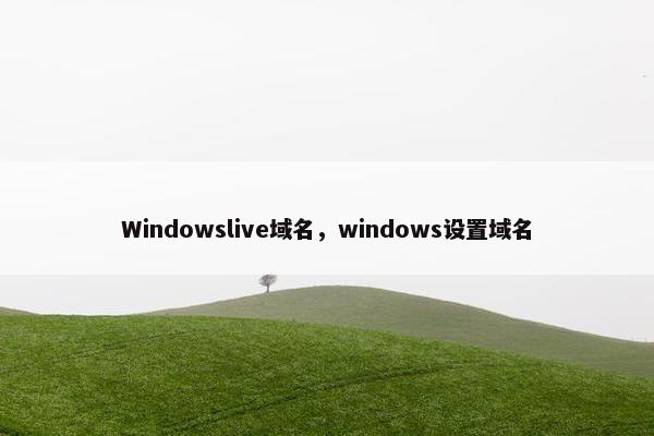 Windowslive域名，windows设置域名