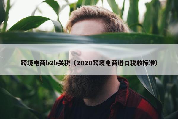 跨境电商b2b关税（2020跨境电商进口税收标准）