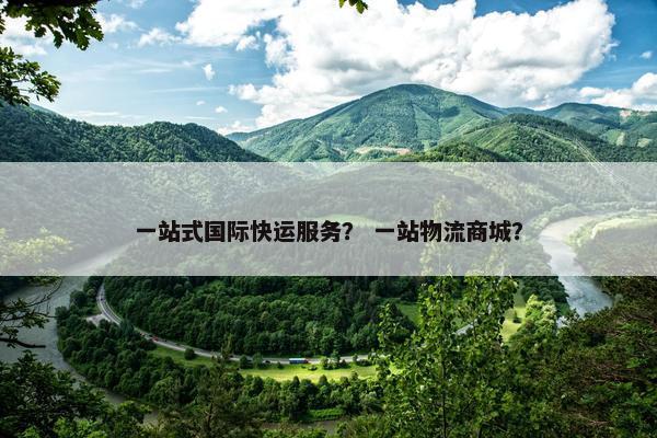 一站式国际快运服务？ 一站物流商城？