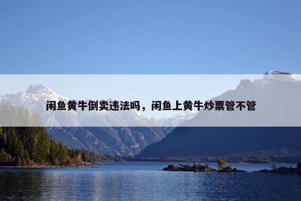 闲鱼黄牛倒卖违法吗，闲鱼上黄牛炒票管不管