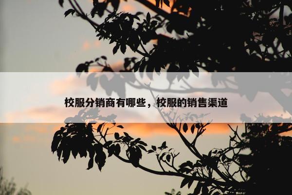 校服分销商有哪些，校服的销售渠道