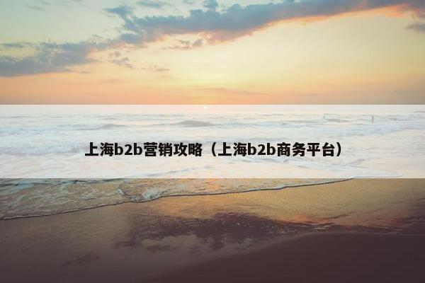 上海b2b营销攻略（上海b2b商务平台）