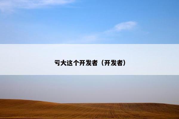 亏大这个开发者（开发者）
