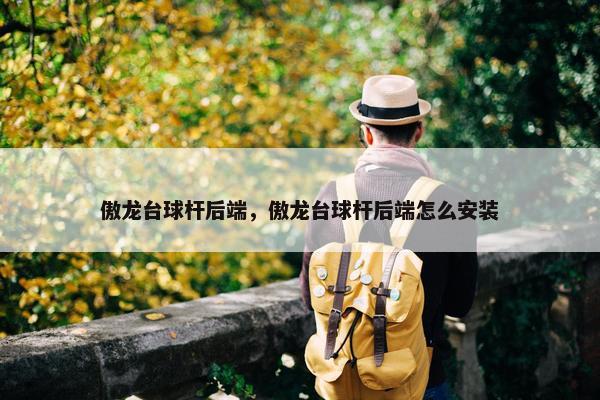 傲龙台球杆后端，傲龙台球杆后端怎么安装