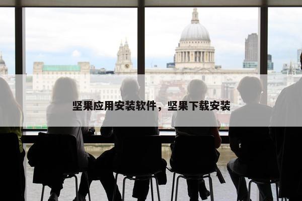 坚果应用安装软件，坚果下载安装