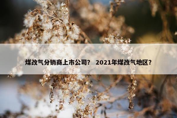 煤改气分销商上市公司？ 2021年煤改气地区？
