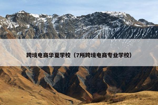 跨境电商华夏学校（7所跨境电商专业学校）