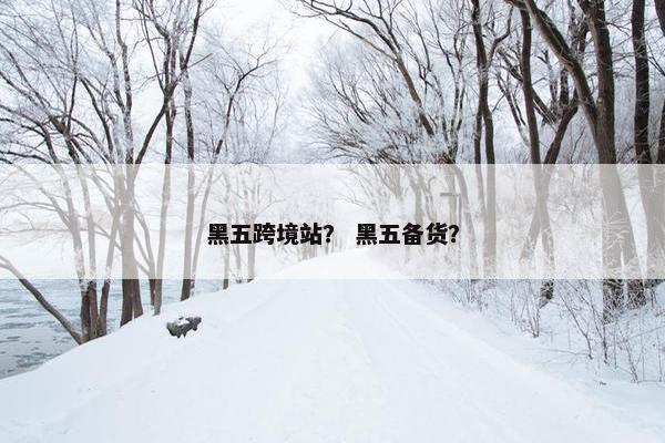 黑五跨境站？ 黑五备货？