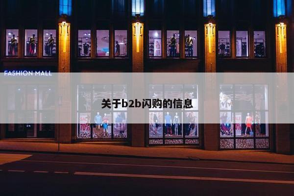 关于b2b闪购的信息