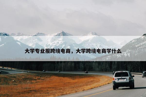 大学专业报跨境电商，大学跨境电商学什么