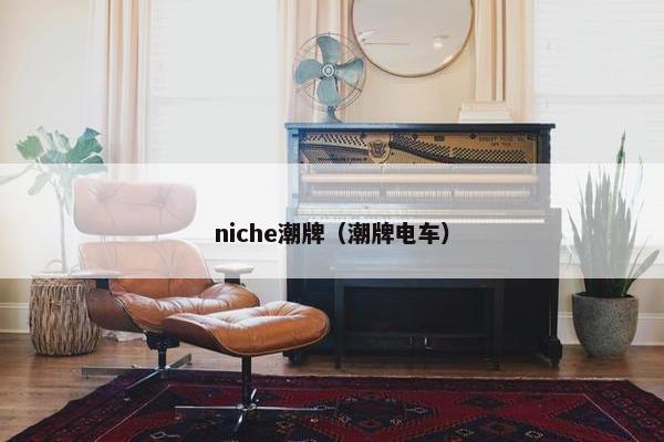 niche潮牌（潮牌电车）