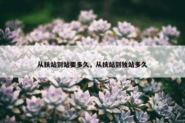 从扶站到站要多久，从扶站到独站多久