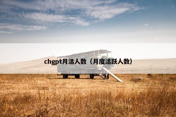 chgpt月活人数（月度活跃人数）