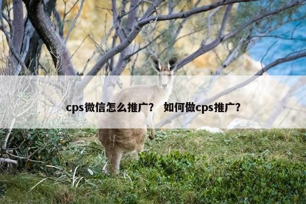 cps微信怎么推广？ 如何做cps推广？