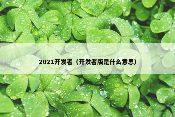 2021开发者（开发者版是什么意思）