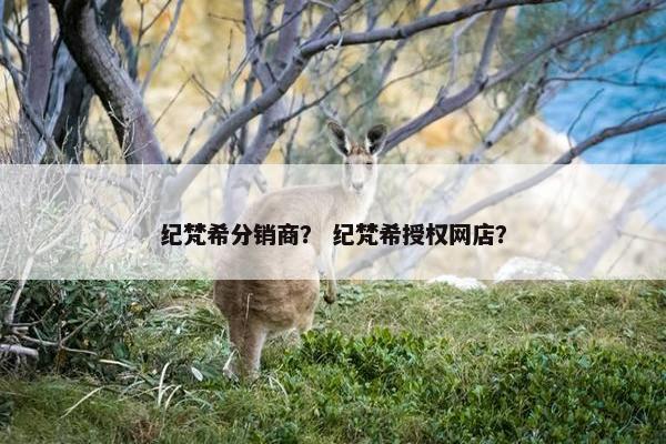 纪梵希分销商？ 纪梵希授权网店？