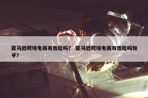 亚马逊跨境电商有危险吗？ 亚马逊跨境电商有危险吗知乎？