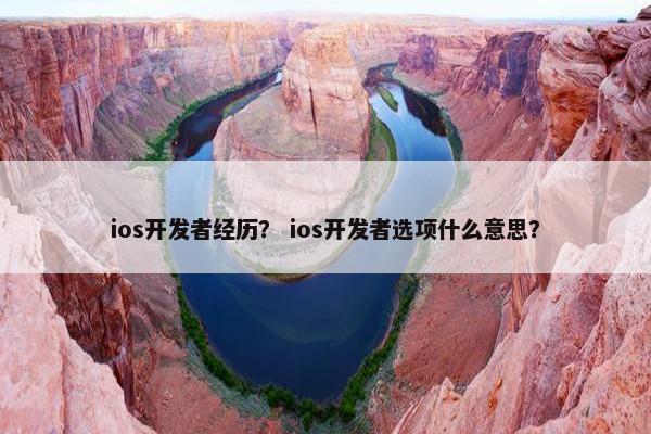 ios开发者经历？ ios开发者选项什么意思？