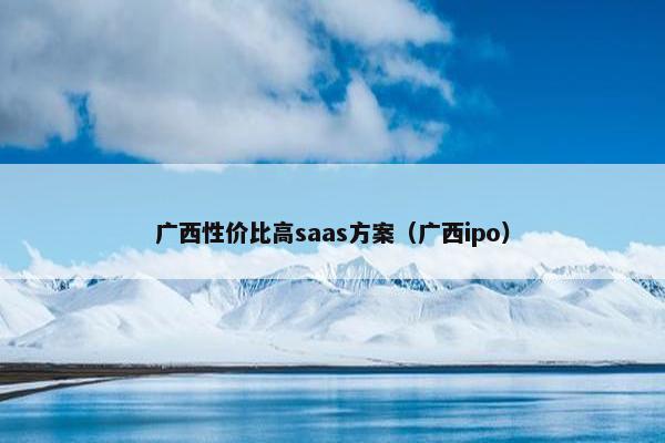 广西性价比高saas方案（广西ipo）