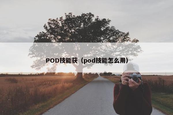 POD技能获（pod技能怎么用）