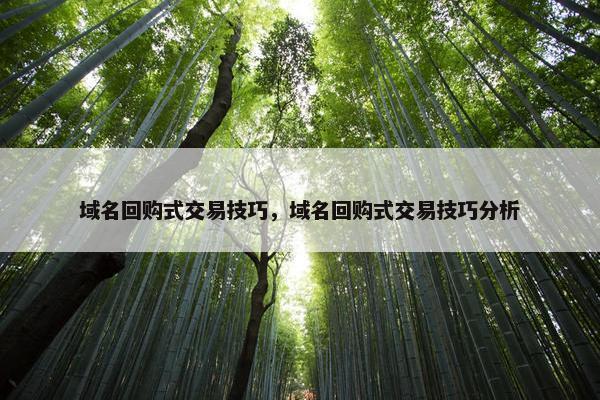 域名回购式交易技巧，域名回购式交易技巧分析