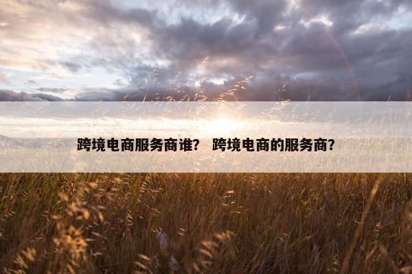跨境电商服务商谁？ 跨境电商的服务商？