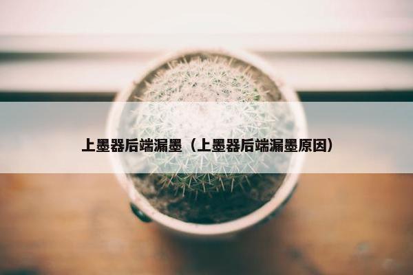 上墨器后端漏墨（上墨器后端漏墨原因）