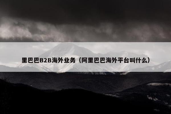 里巴巴B2B海外业务（阿里巴巴海外平台叫什么）