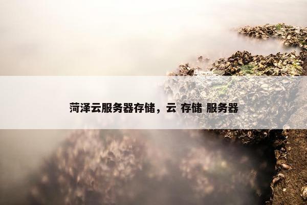菏泽云服务器存储，云 存储 服务器