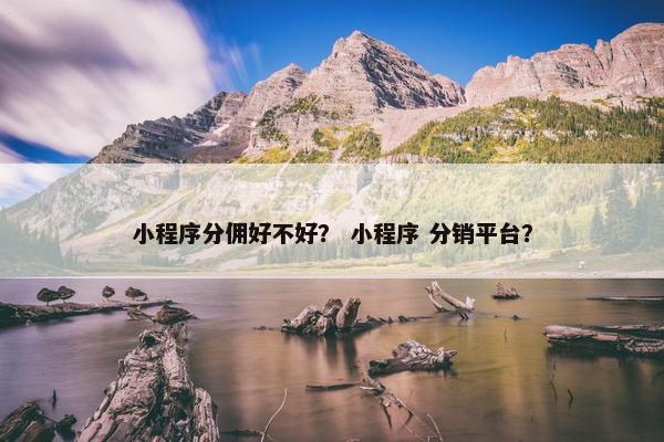 小程序分佣好不好？ 小程序 分销平台？
