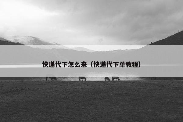 快递代下怎么来（快递代下单教程）