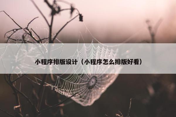 小程序排版设计（小程序怎么排版好看）