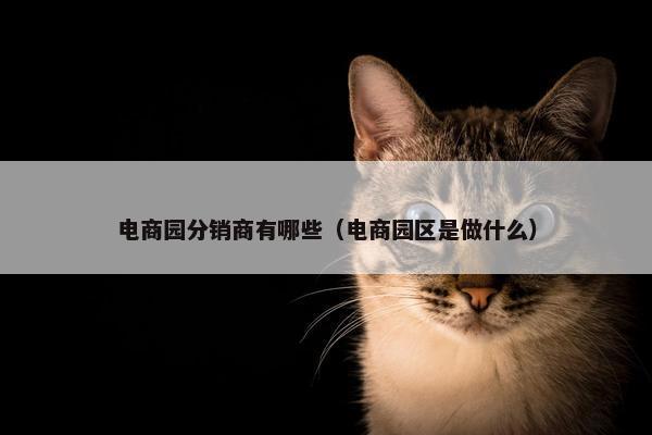 电商园分销商有哪些（电商园区是做什么）
