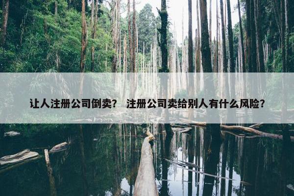 让人注册公司倒卖？ 注册公司卖给别人有什么风险？