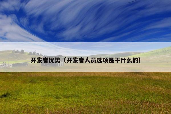 开发者优势（开发者人员选项是干什么的）
