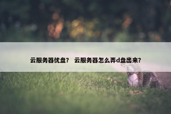 云服务器优盘？ 云服务器怎么弄d盘出来？