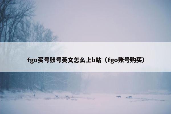 fgo买号账号英文怎么上b站（fgo账号购买）