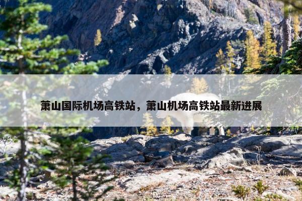 萧山国际机场高铁站，萧山机场高铁站最新进展